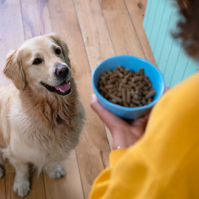 Will my fussy dog like Oscar's Farm?