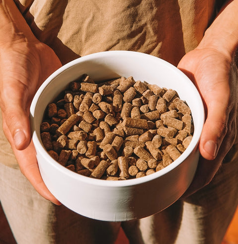 Lamb 40/60/0 - Cold-pressed Complete Dog Food